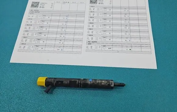 Renault Kangoo I Fuel injector EJBR02101Z IMPRK1535831