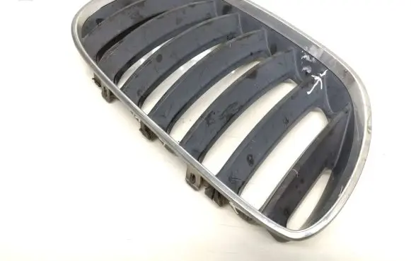 BMW X5 E53 Front bumper upper radiator grill 7124816 51137124816 7113734