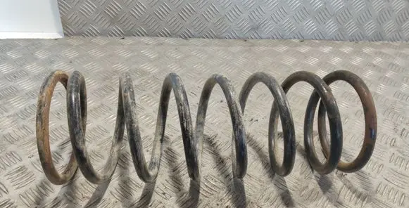 Land Rover Discovery Front coil spring