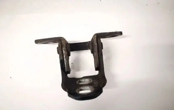 Rear door lower hinge