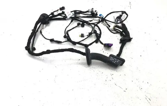 BYD Atto 3 Front door wiring loom/harness boot SC2EM4002100B