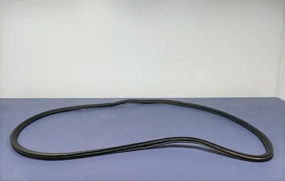 BMW X7 G07 Front door rubber seal 7428678