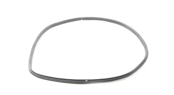 Ford Ecosport Rubber seal front coupe door 