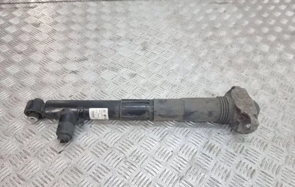Volkswagen ID.3 Rear shock absorber/damper 1EA512009J