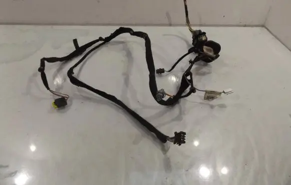 Renault Clio III Front door wiring loom 8200504548C