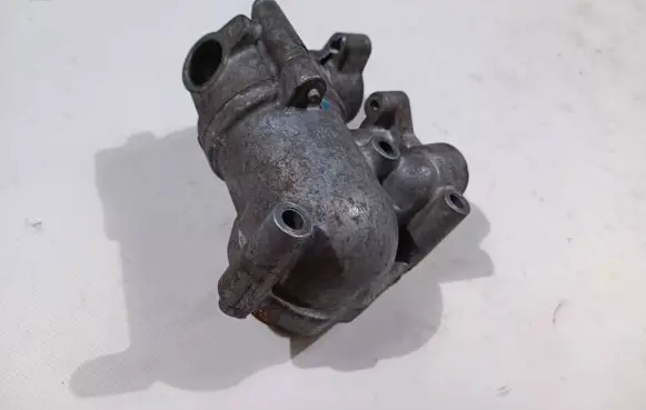 Thermostat/thermostat housing