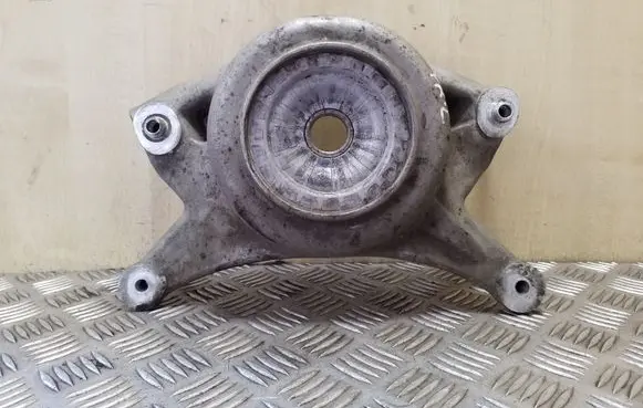 Coil spring mount
