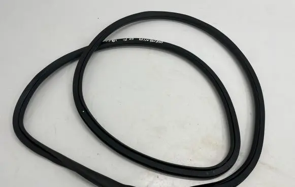 Opel Insignia B Front door rubber seal