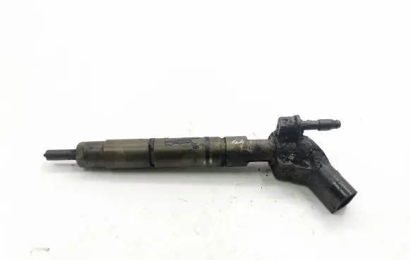Mercedes-Benz R W251 Fuel injector A6420700587 0445115027