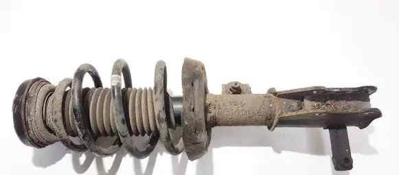 Opel Insignia A Front shock absorber/damper 13245966