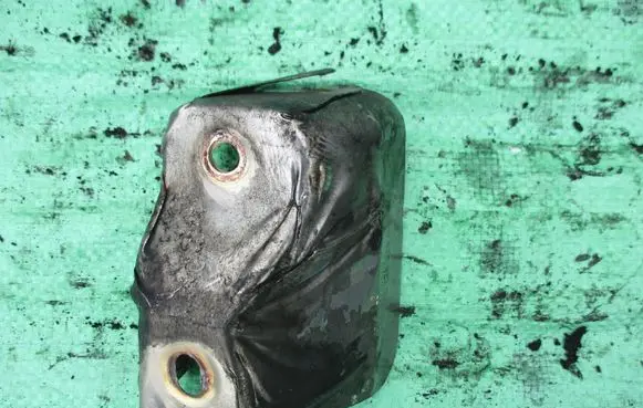 Audi A4 S4 B7 8E 8H Heat shield in engine bay 038129969A