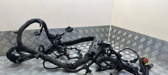 Ford Ecosport Engine installation wiring loom DN1T12A522 DN1T-12A522