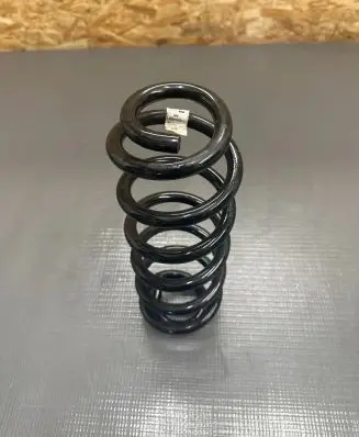 Rear coil spring