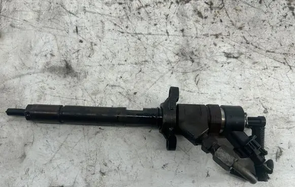 Citroen C4 I Picasso Fuel injector 0445110259 328480