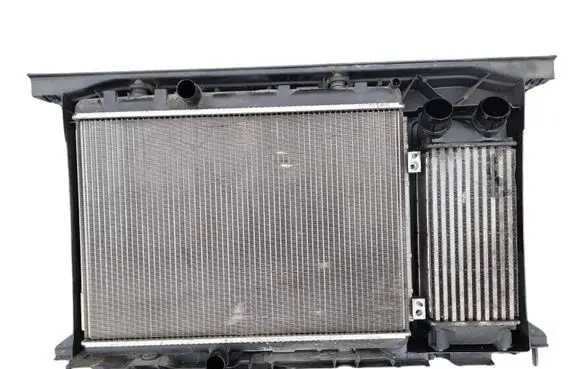 Citroen Berlingo Radiator set 1651310105600