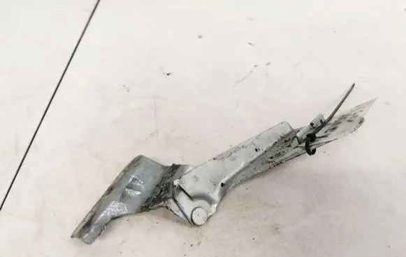 Renault Megane II Engine bonnet/hood hinges ES71