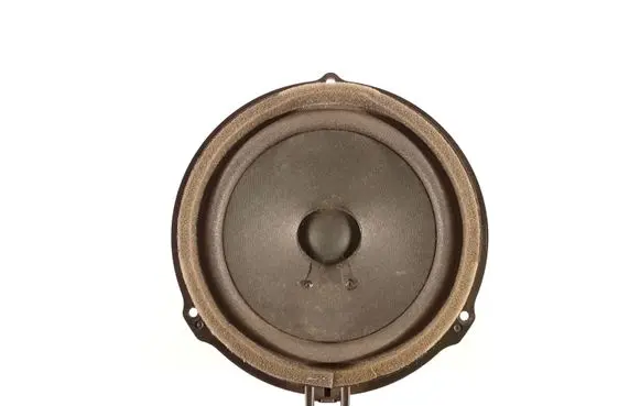 Ford Kuga II Front door speaker AA6T18808AA 497930 3Y702I