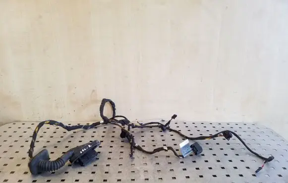 Rear door wiring loom