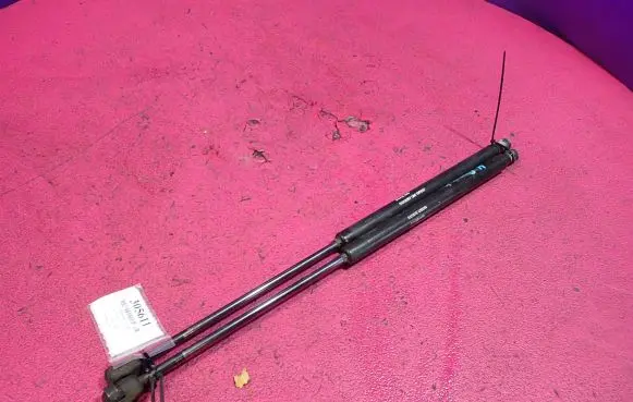 Tailgate strut