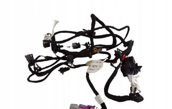 Audi A8 S8 D3 4E Front door wiring loom 4E0971036B 4E0971036D