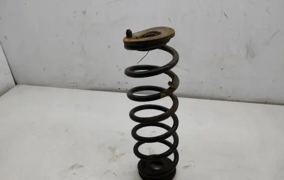 Volkswagen PASSAT B7 Rear coil spring