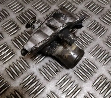 Thermostat/thermostat housing