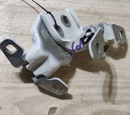 Dacia Jogger Rear door hinge set 