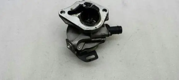 Nissan Qashqai Vacuum pump 8201005306