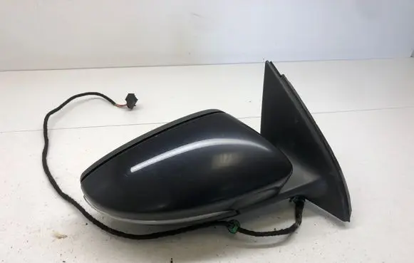 Volkswagen PASSAT B7 Front door electric wing mirror E1021005