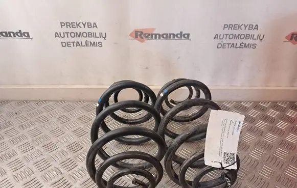 Renault Trafic III (X82) Rear coil spring