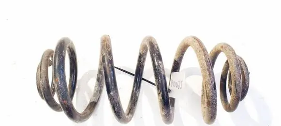 Rear coil spring