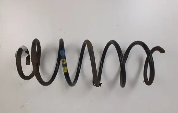 Rear coil spring