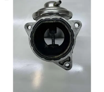 Volkswagen Golf V EGR valve 724809160 20T210