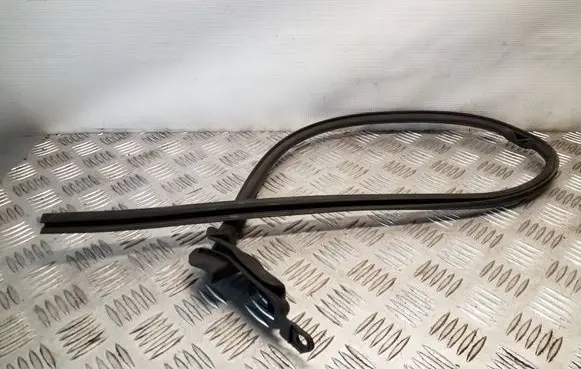 Renault Trafic III (X82) Rubber seal front door (on door) M897GX82