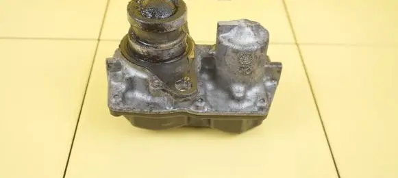 Renault Trafic III (X82) EGR thermostat VASV29047043X 5HTR21