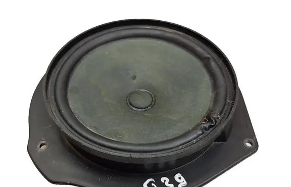 Front door speaker