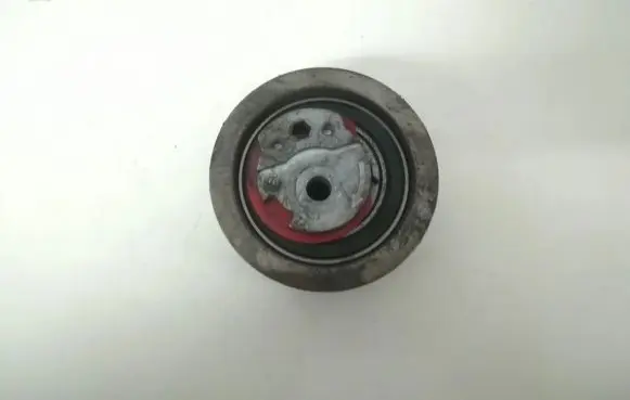 Volkswagen PASSAT B6 Belt tensioner pulley 979669