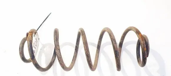 Rear coil spring