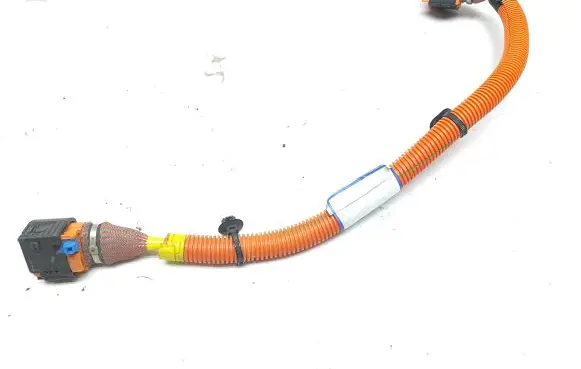 Renault Kangoo II Other wiring loom 240419193R