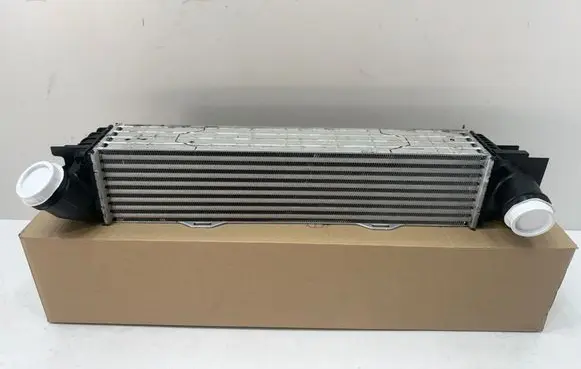 BMW X1 U11 Intercooler radiator 9846915