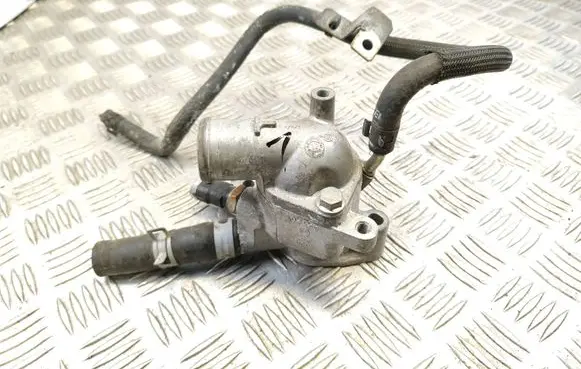 Thermostat/thermostat housing