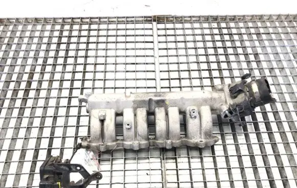 Hyundai i20 (PB PBT) Intake manifold