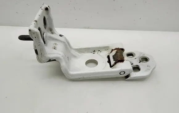 Opel Movano B Tailgate/trunk/boot hinge 844000013R