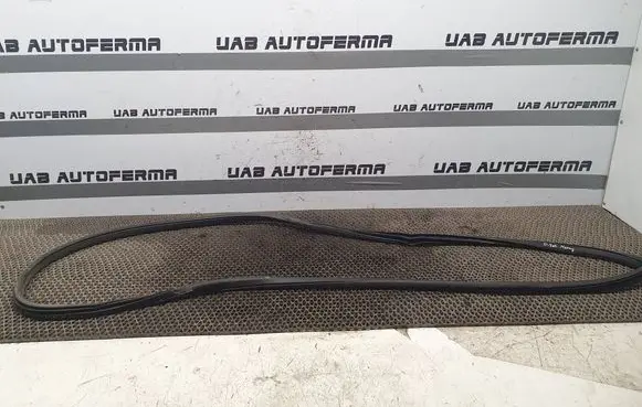 Nissan Murano Z51 Rear door rubber seal (on body) 