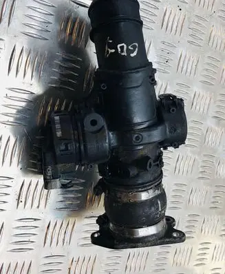 Citroen Jumpy Throttle valve 9660030580