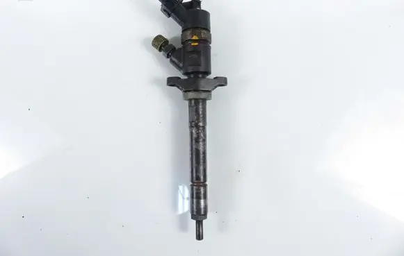 Citroen C4 I Fuel injector 0445110281