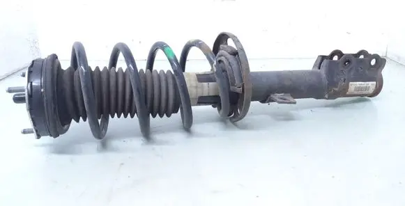 Ford Ecosport Front shock absorber with coil spring MFN1C18B036BB