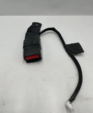 Nissan Leaf II (ZE1) Middle seatbelt buckle (rear) 6262419