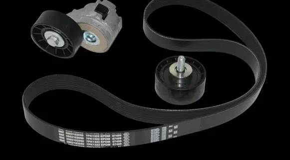 Iveco Daily 4th gen Alternator belt 500055845
