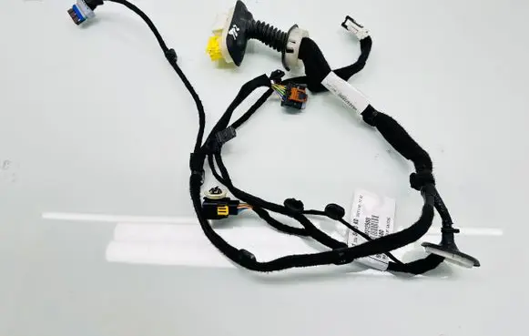 Citroen Jumpy Front door wiring loom 9812370680 B02000
